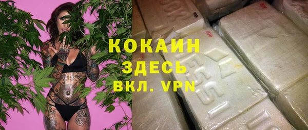 Альфа ПВП Аркадак