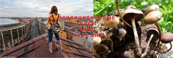 соль ск Осташков